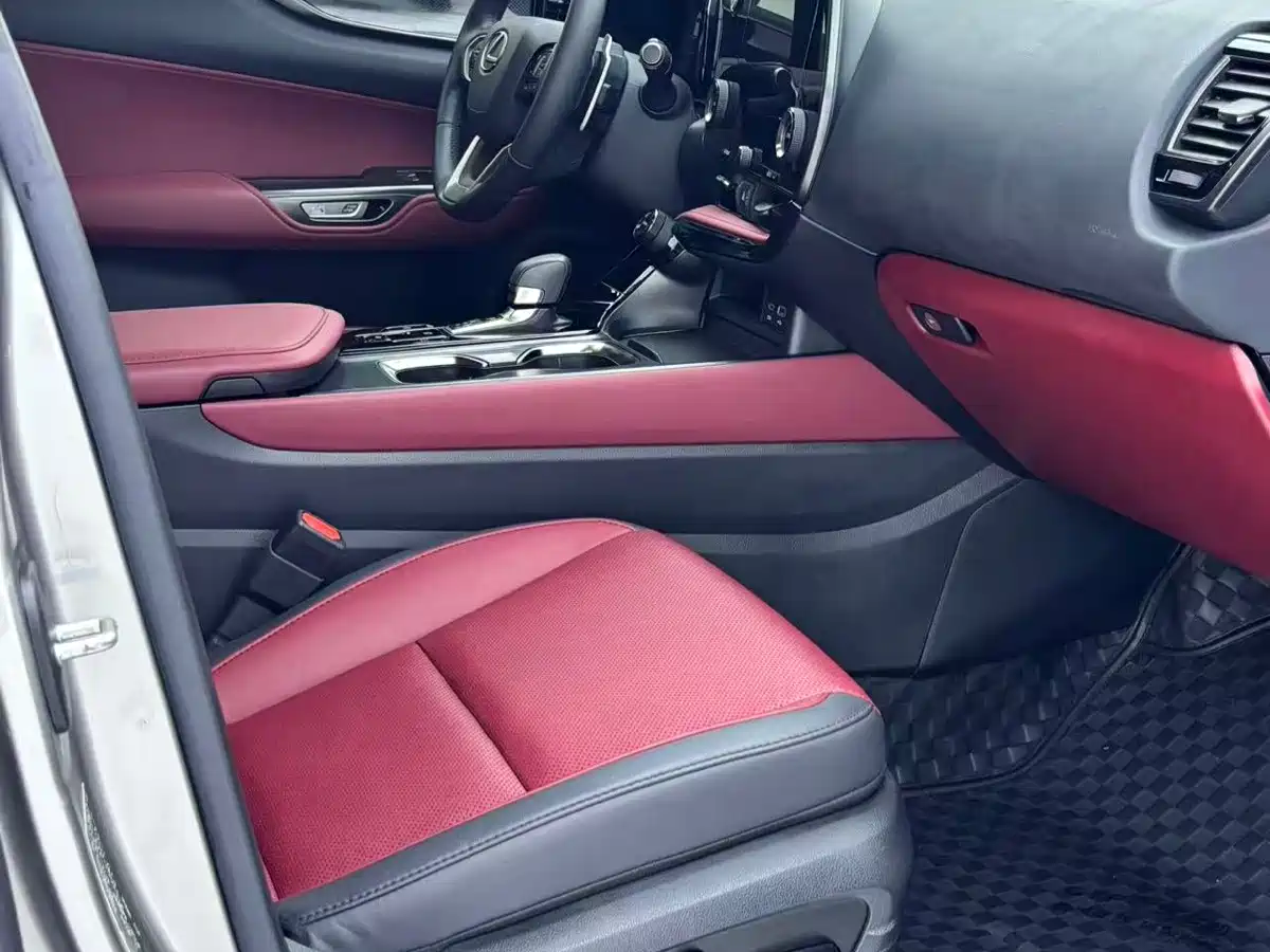 Lexus NX 2024 2023 260 FWD Joy Creation Edition