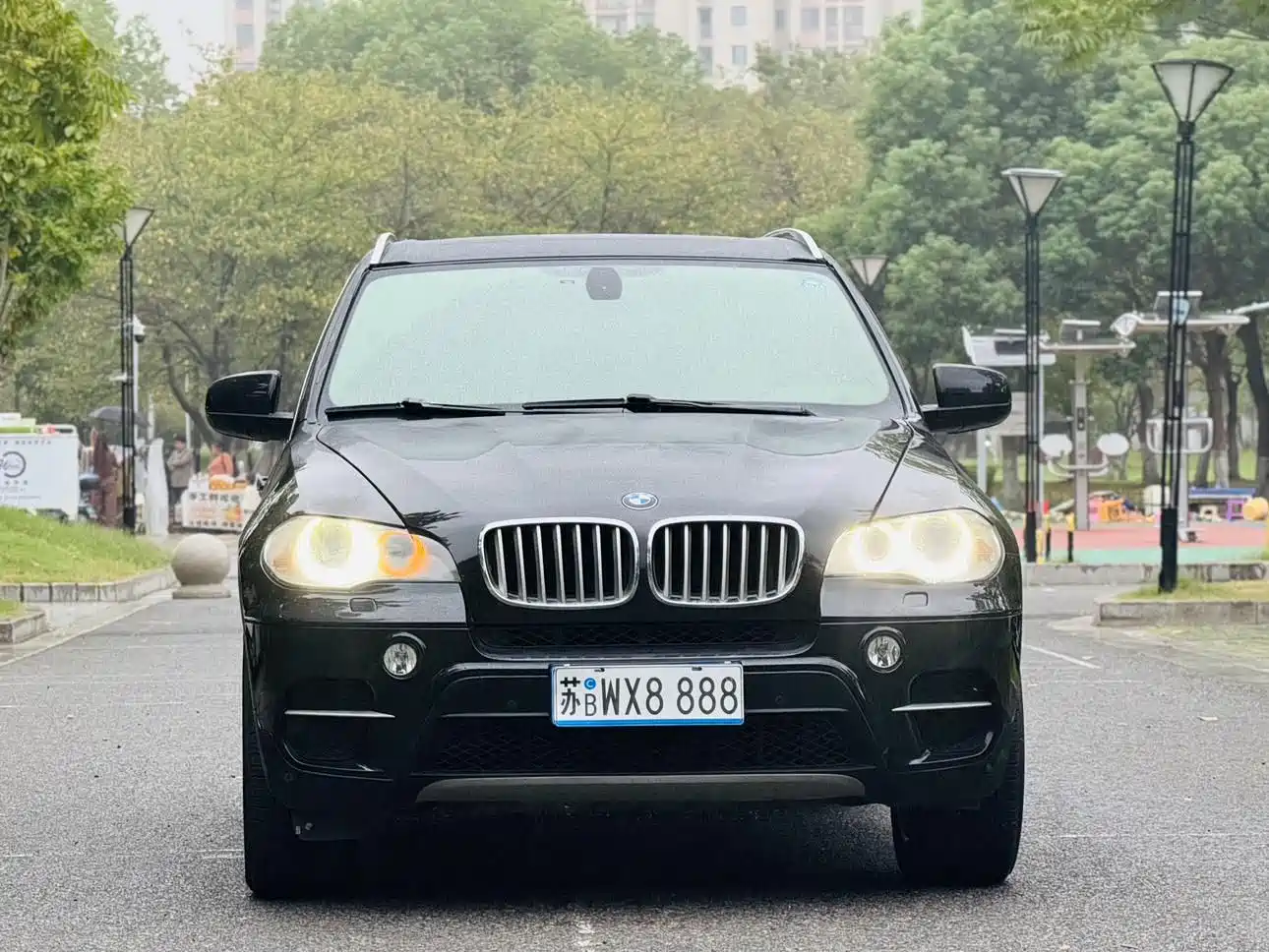 BMW X5 (Import) 2013 xDrive35i Luxury фото 6