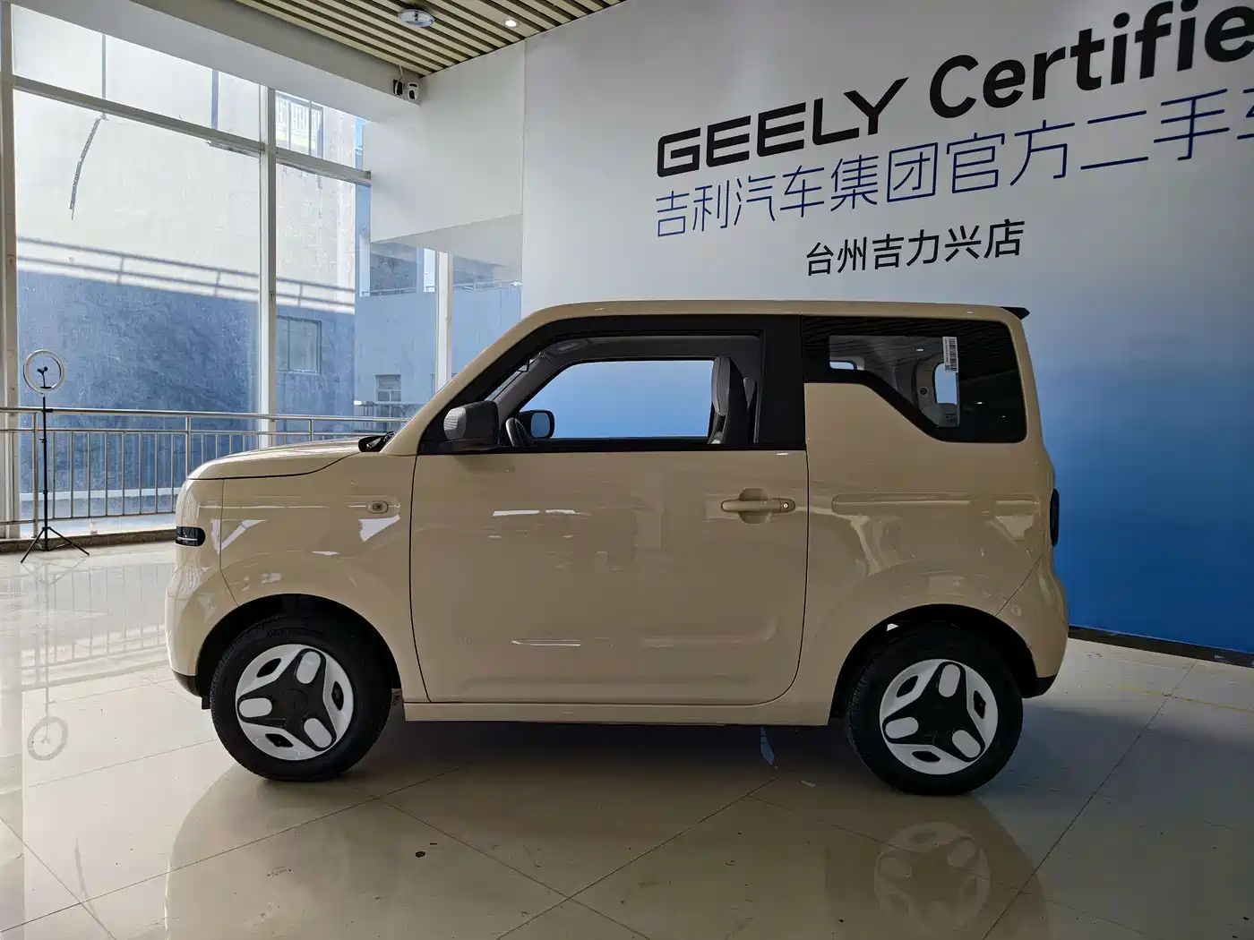 Фото 5 - Geely Galaxy Panda
