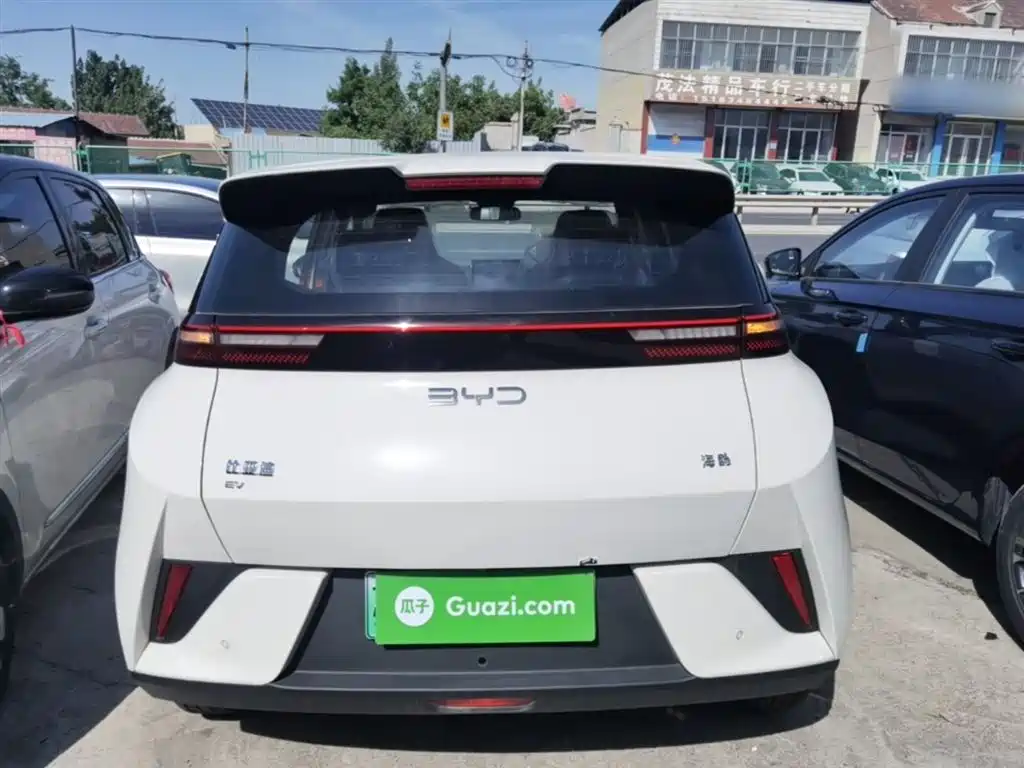 BYD Seagull 2025 Smart Drive Edition 305km Vitality Version фото 6