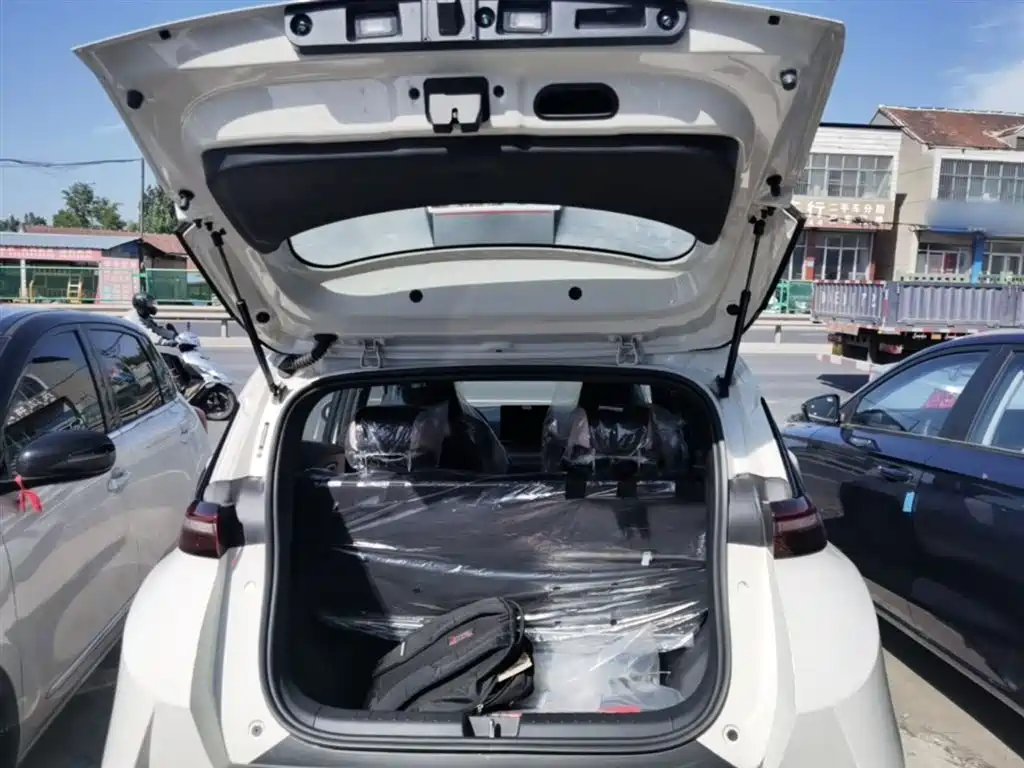 BYD Seagull 2025 Smart Drive Edition 305km Vitality Version фото 19
