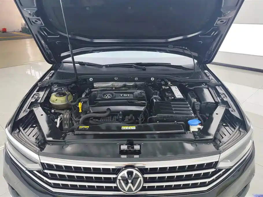 Volkswagen Magotan 2020 380TSI DSG Luxury фото 10