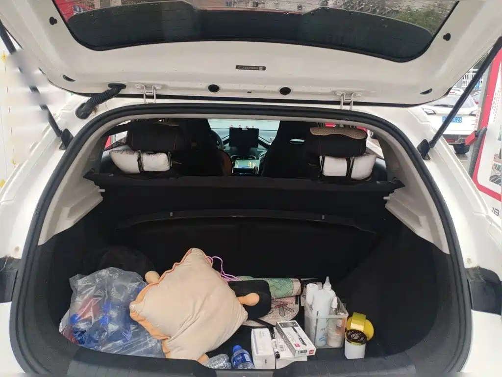Photo 16 - BYD e2