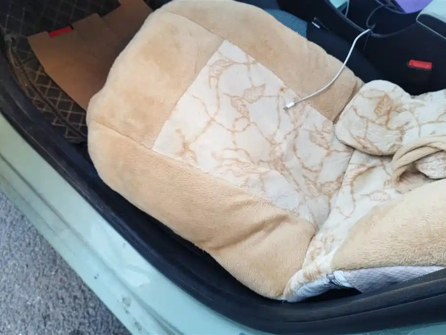 CHANGAN BENBEN E STAR