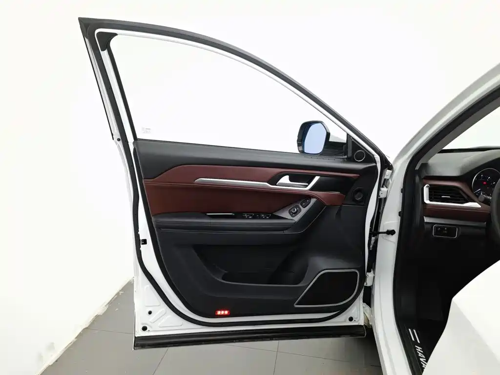 Haval H6 Coupe 2018 2018 Red Label 1.5T Auto 2WD Ultra Luxury