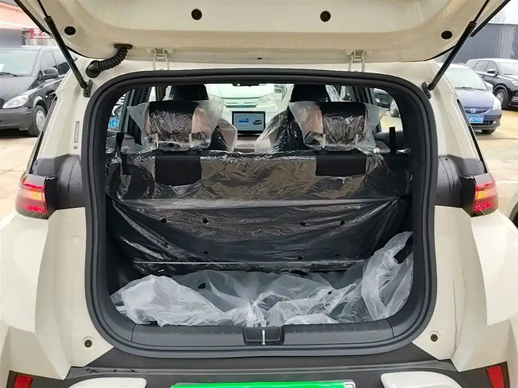 BYD Seagull 2025 Smart Drive Edition 305km Vitality Version фото 19