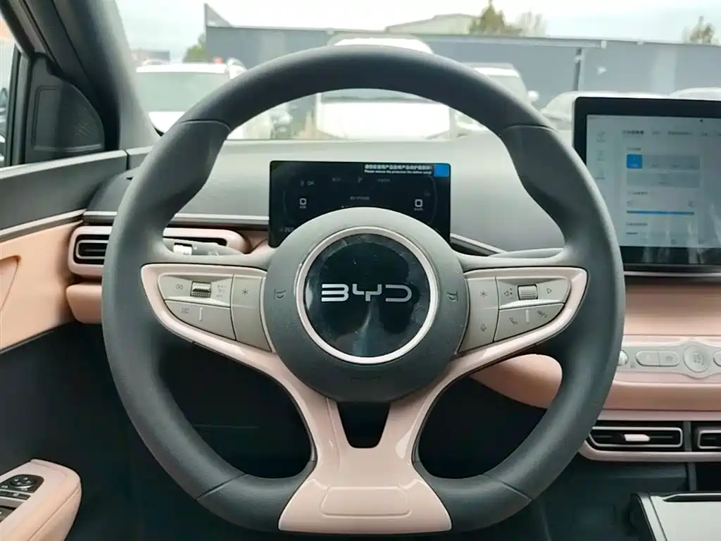 BYD Seagull 2025 Smart Drive Edition 305km Vitality Version фото 11