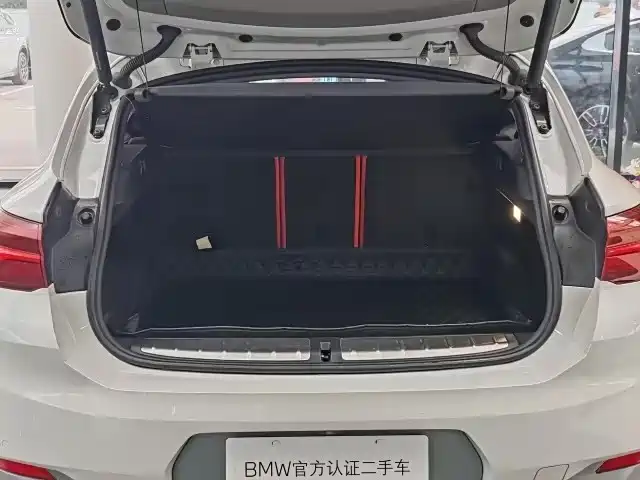 BMW X2 2021 sDrive25i Leading M Sport Package фото 11
