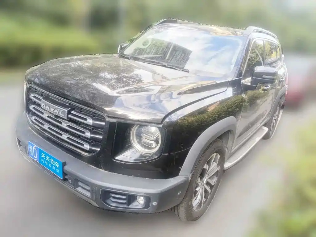 Haval Big Dog 2021 1.5T DCT 2WD Malinois Edition