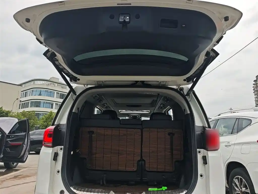 GAC Trumpchi Trumpchi M8 2021 Leading Show Series 390T Ultimate Edition фото 15