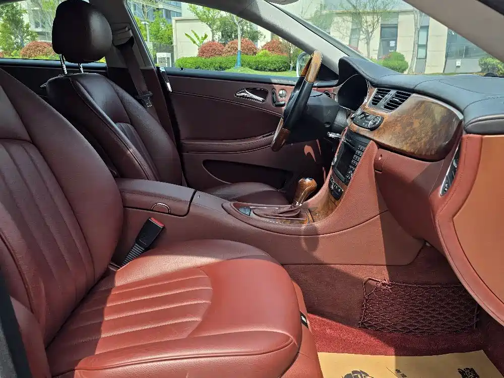 Mercedes-Benz CLS 2009 CLS 300 фото 9