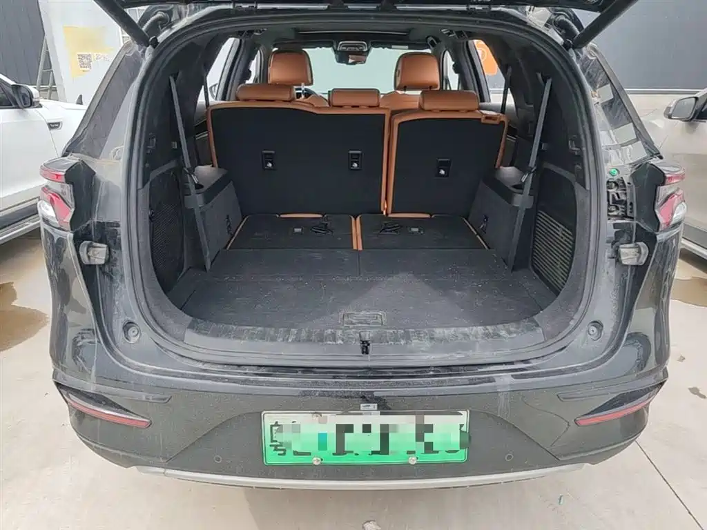 BYD Tang New Energy 2022 EV 730KM Premium фото 15