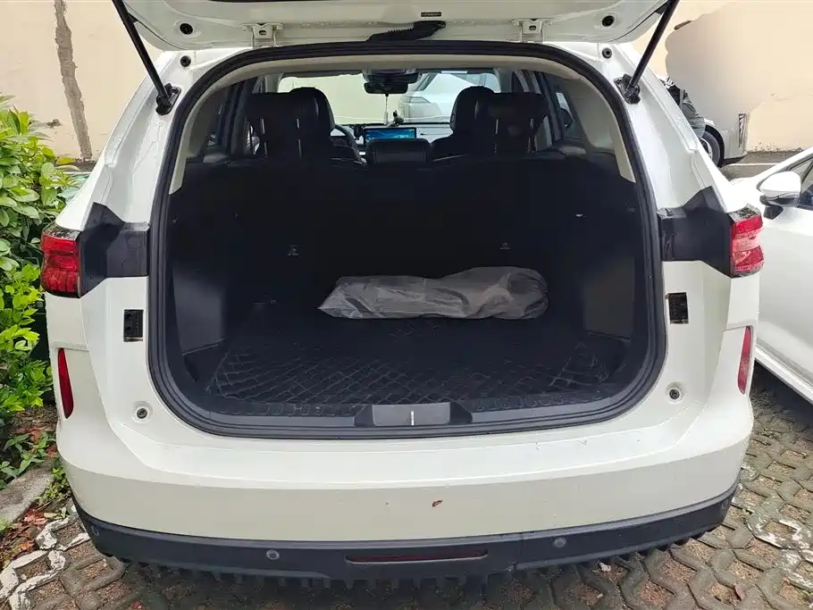 Haval H6 2021 3rd Generation 2.0T Auto AWD Max фото 4