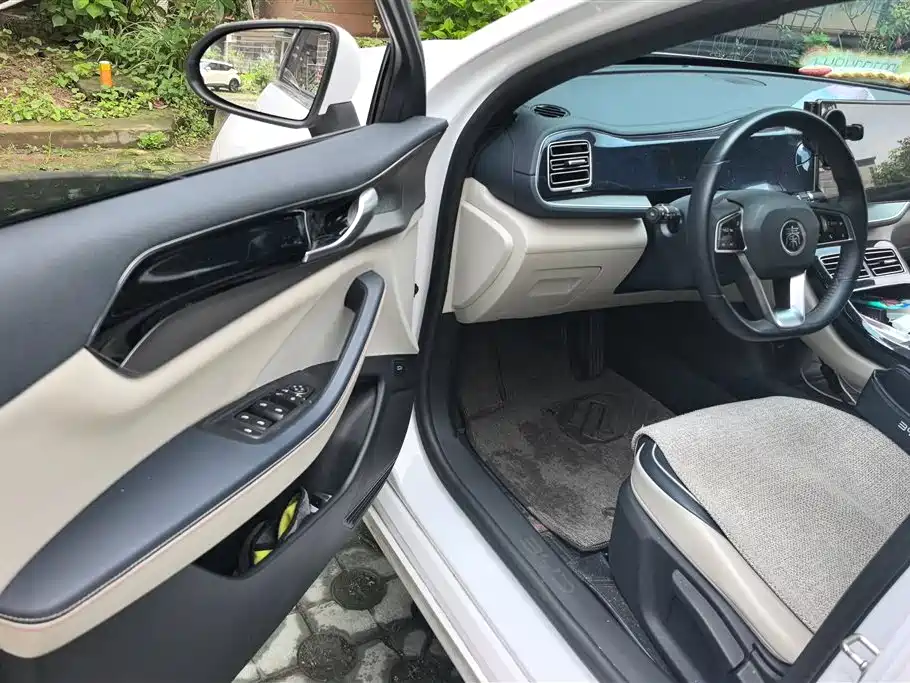 BYD Qin PLUS 2021 DM-i 120KM Premium фото 9