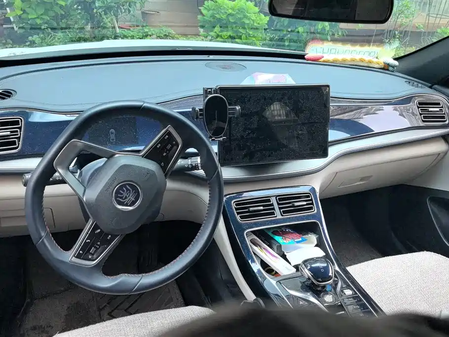 BYD Qin PLUS 2021 DM-i 120KM Premium фото 12