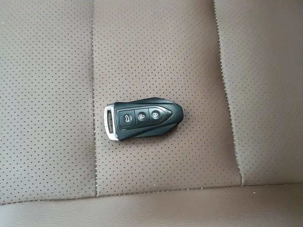 Leopaard CS10 2019 2017 1.5T CVT Prestige