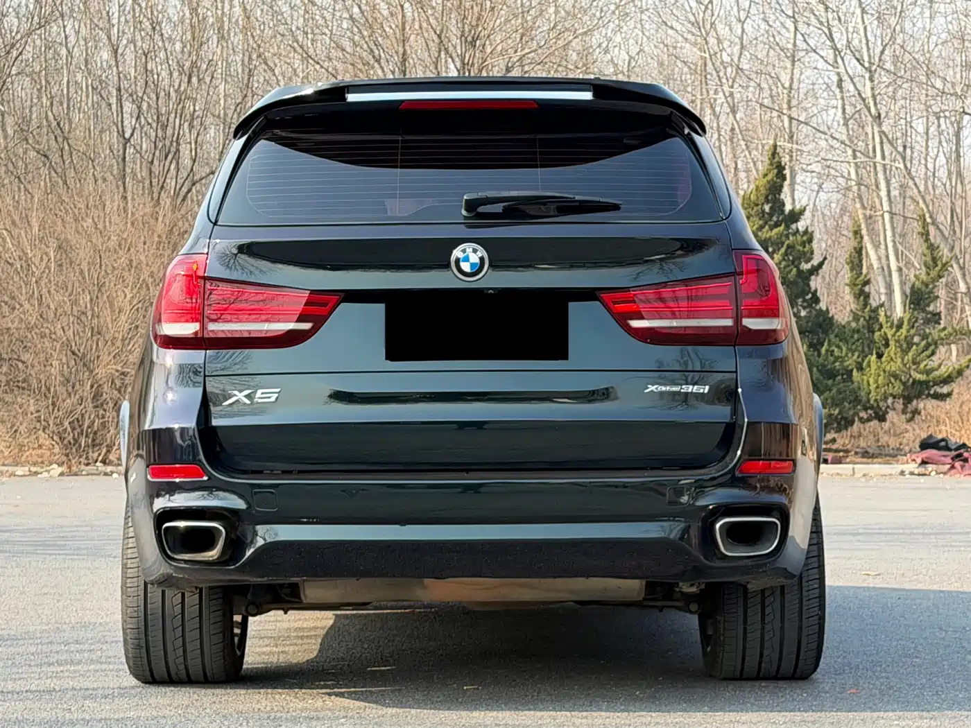 BMW X5 (Import) 2017 xDrive35i M Sport фото 5