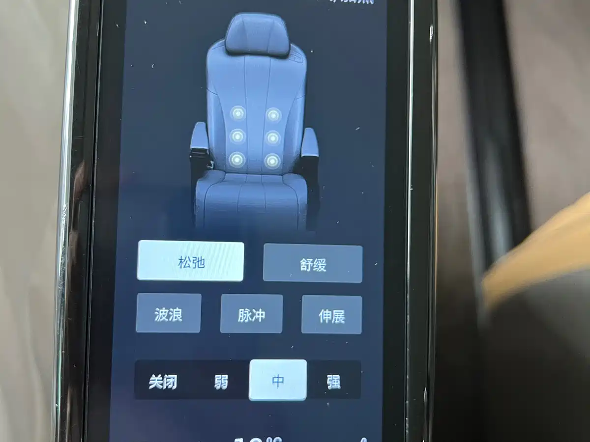 Denza D9 2022 DM-i 970 AWD Flagship фото 26