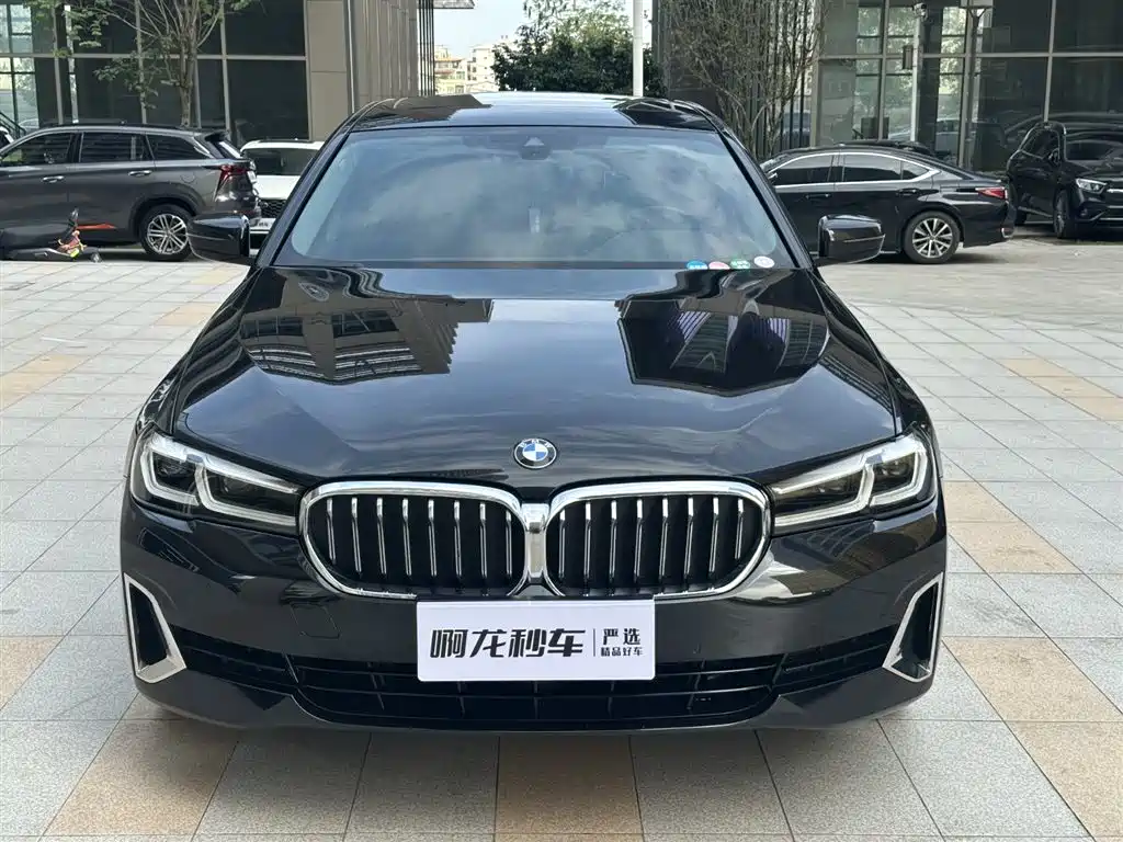 BMW 5 Series 2021 530Li Leading Luxury Package фото 3