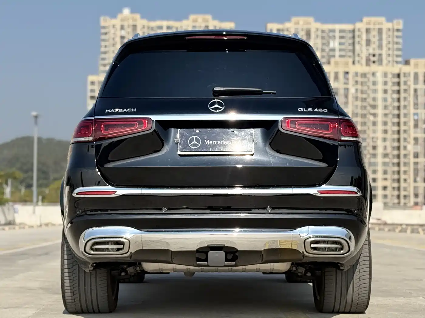 Mercedes-Benz GLS 2023 GLS 450 4MATIC Luxury Edition фото 13