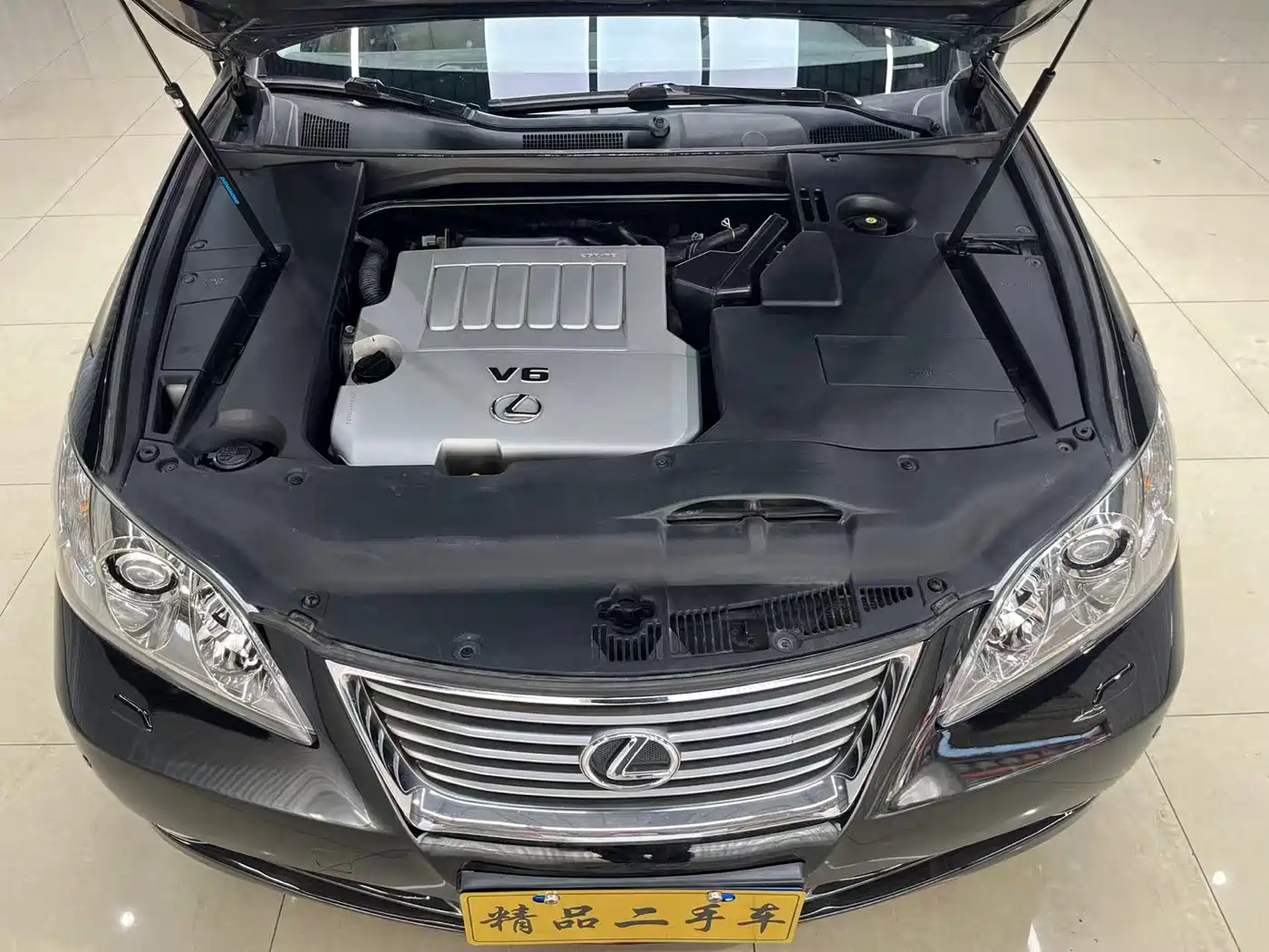 Lexus ES 2010 350 Luxury Edition фото 15