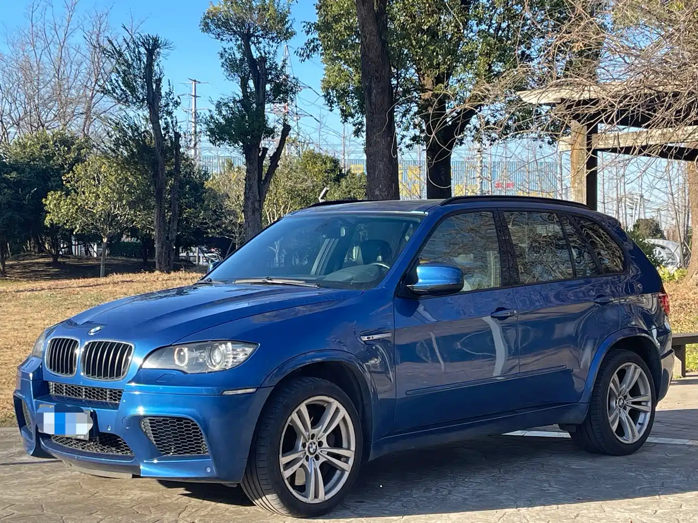 BMW X5 M 2010 X5 M