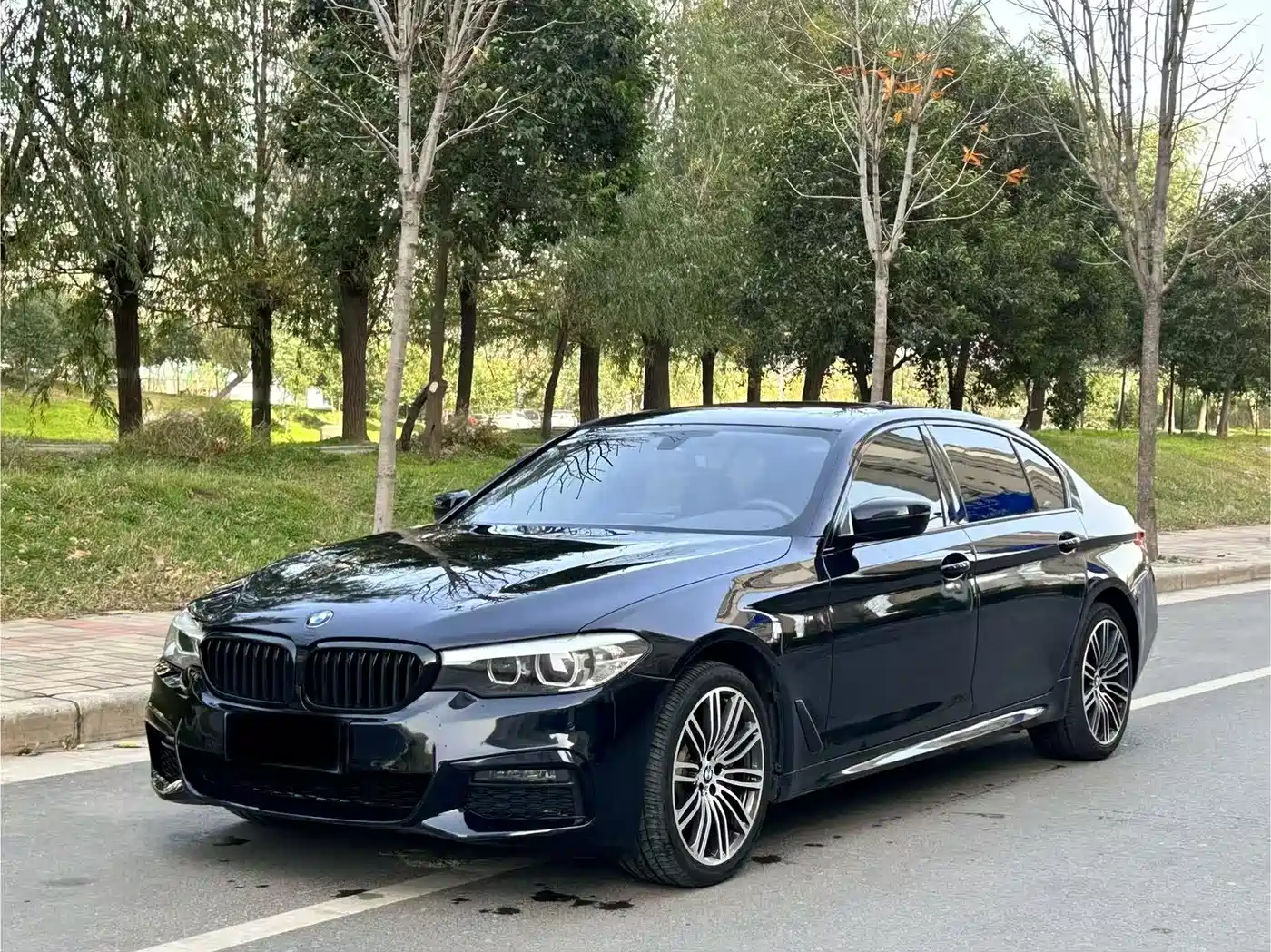 BMW 5 Series 2019 530Li Leading M Sport Package фото 2