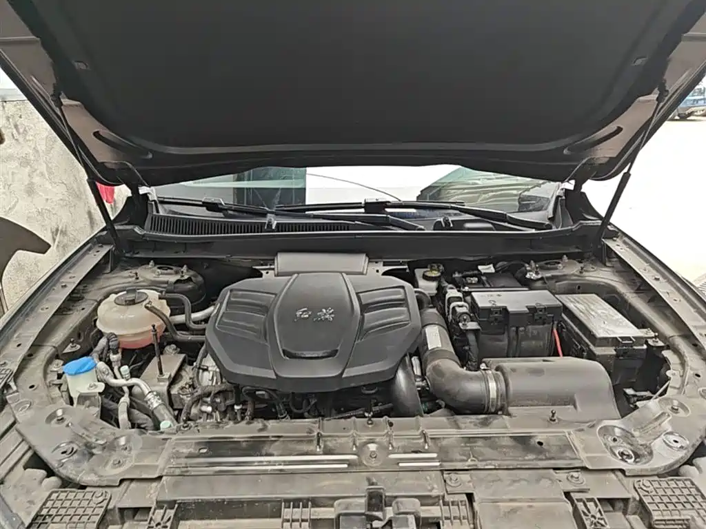 Hongqi HS5 2022 Facelift 2.0T Smart Flag Enjoyment Edition фото 20