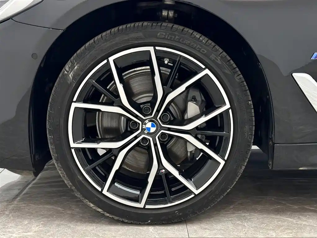 BMW 5 Series 2021 Facelift 530Li Premium M Sport Package фото 20
