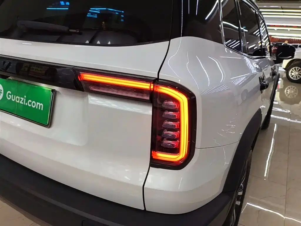Haval Big Dog 2021 1.5T DCT 2WD Border Collie - Wangcai Edition фото 8