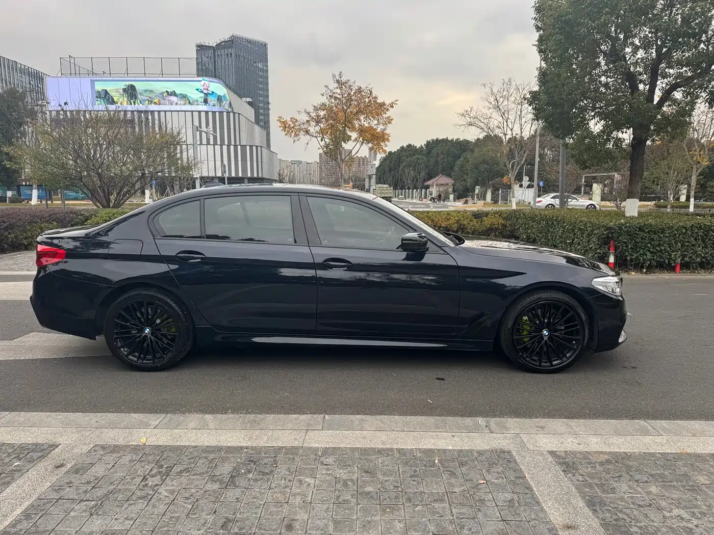 BMW 5 Series 2020 530Li Leading M Sport Package фото 3