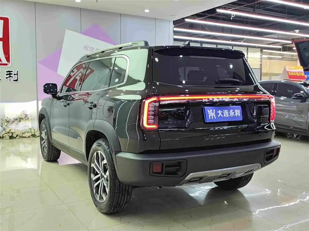 Haval Big Dog 2025 2024 1.5T DCT Border Collie Edition