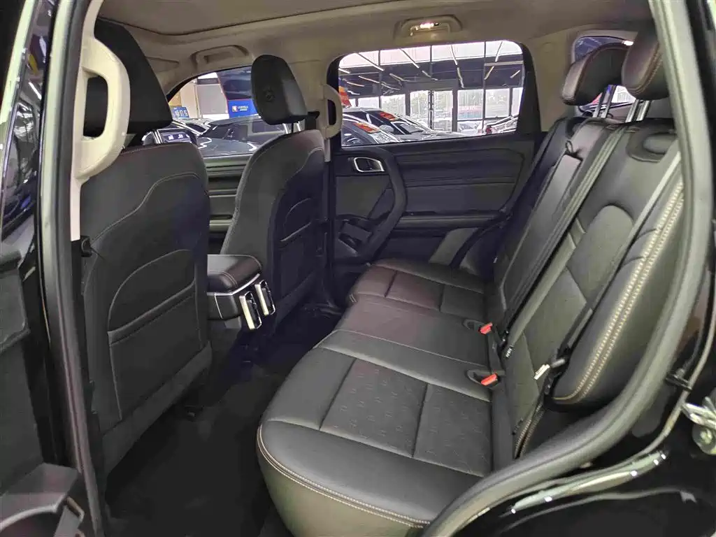 Haval Big Dog 2025 2024 1.5T DCT Border Collie Edition