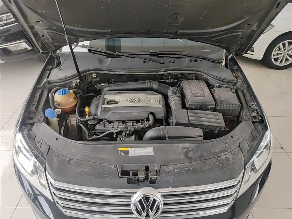 Volkswagen Magotan 2016 1.8TSI Smart Luxury фото 20