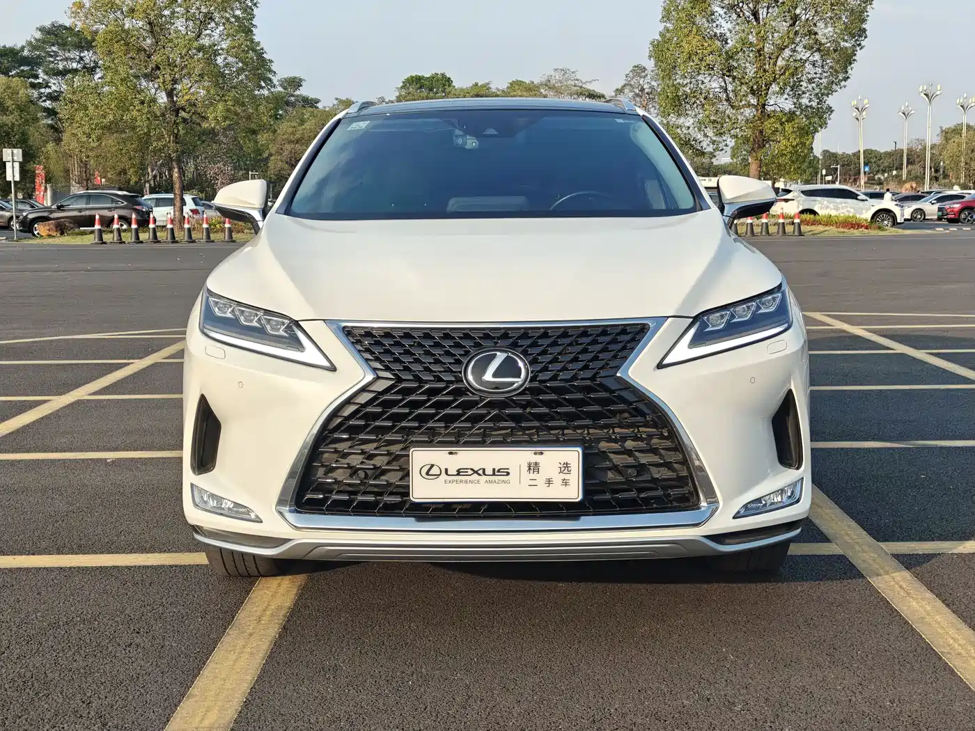 Lexus RX 2020 300 4WD Elegance Edition China VI фото 2