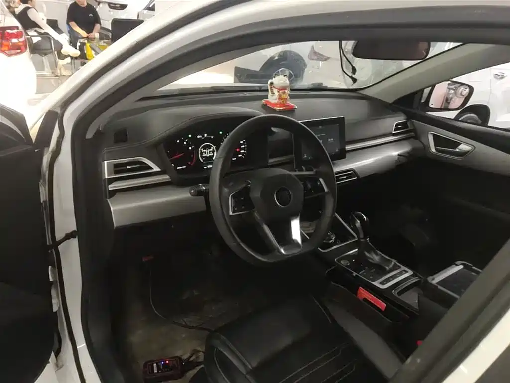 BYD Qin 2019 1.5L Automatic Luxury Edition фото 10