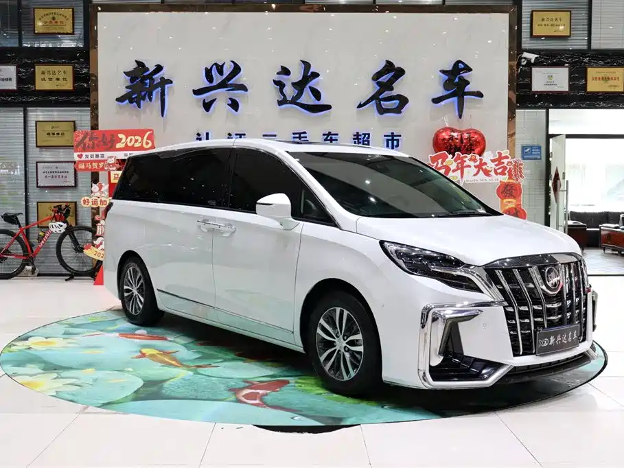 Buick GL8 2021 ES Landlord 653T Premium фото 3