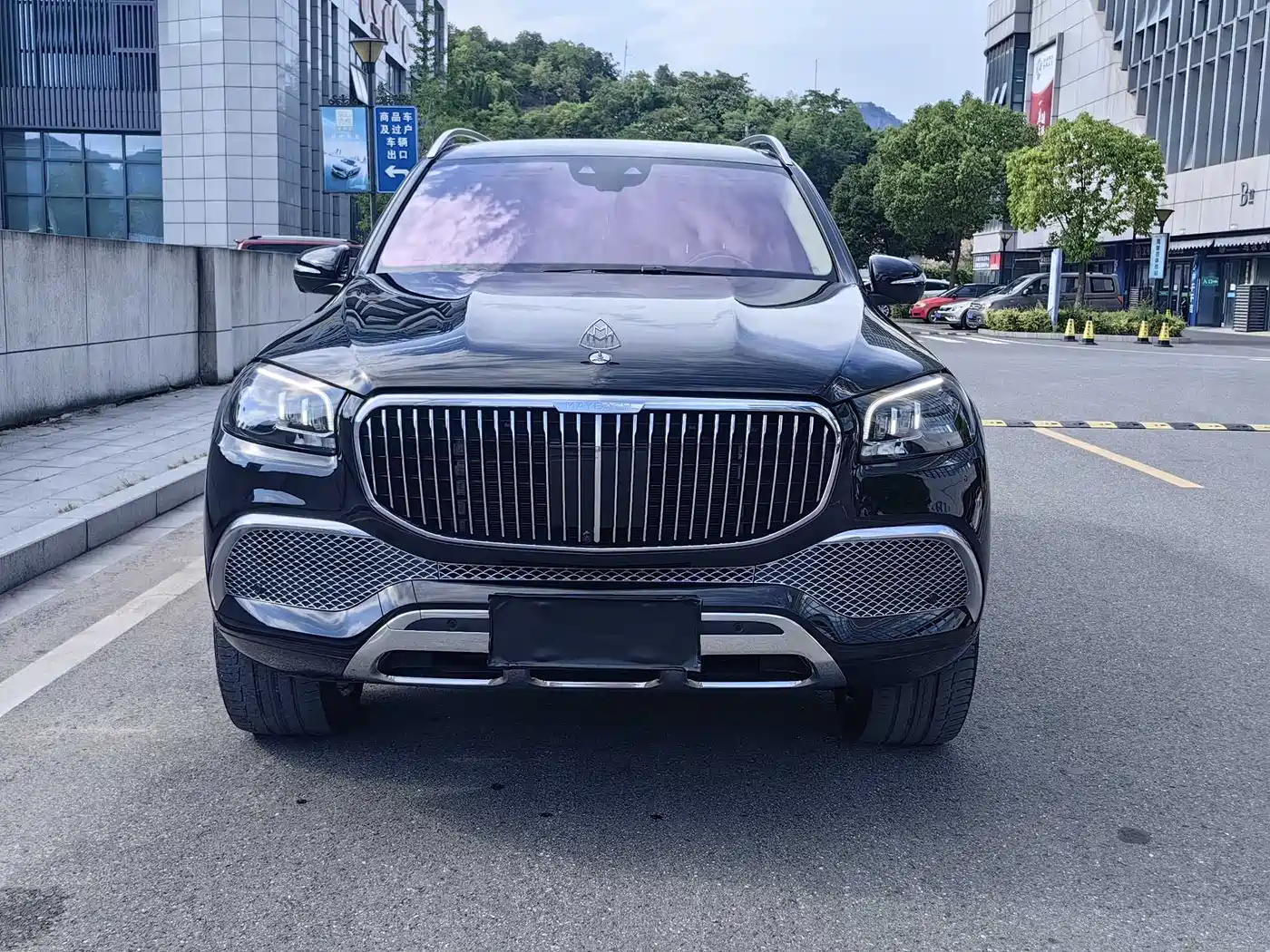 Mercedes-Benz Maybach GLS 2021 GLS 480 4MATIC фото 8