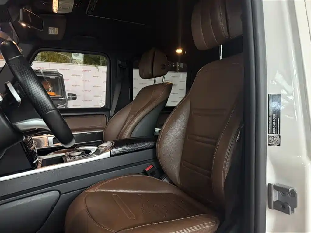 Mercedes-Benz G-Class 2019 G 500 фото 6
