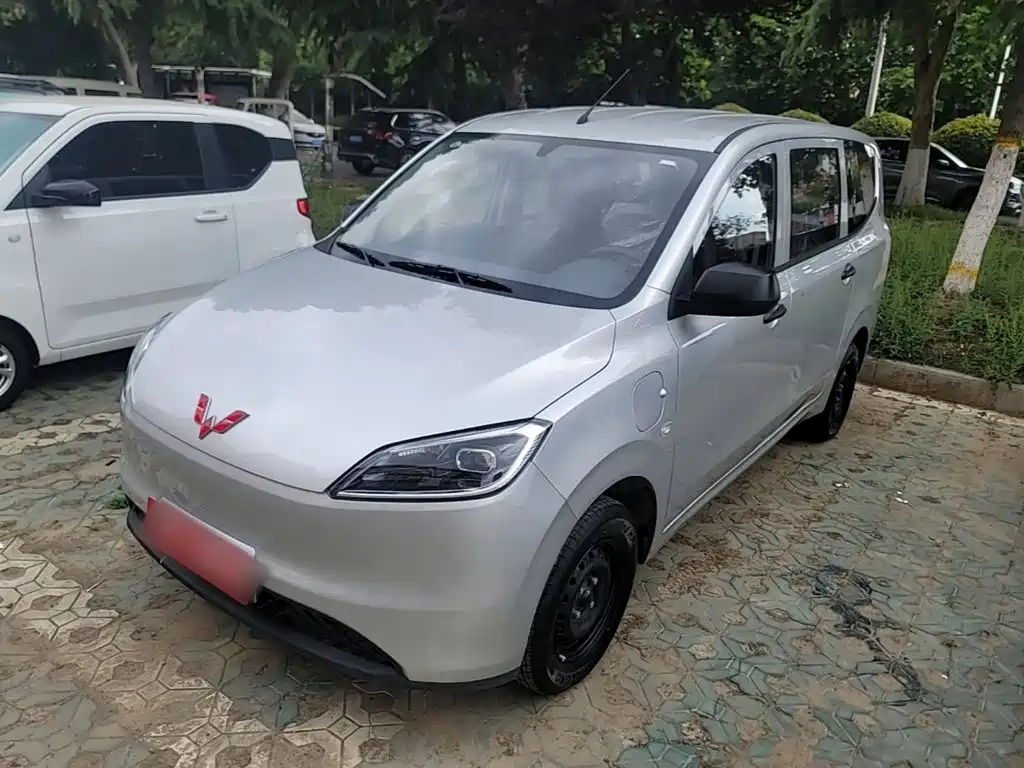 Wuling Motors Wuling Hongguang New Energy 2024 Model Pure Electric 300KM Utility Version