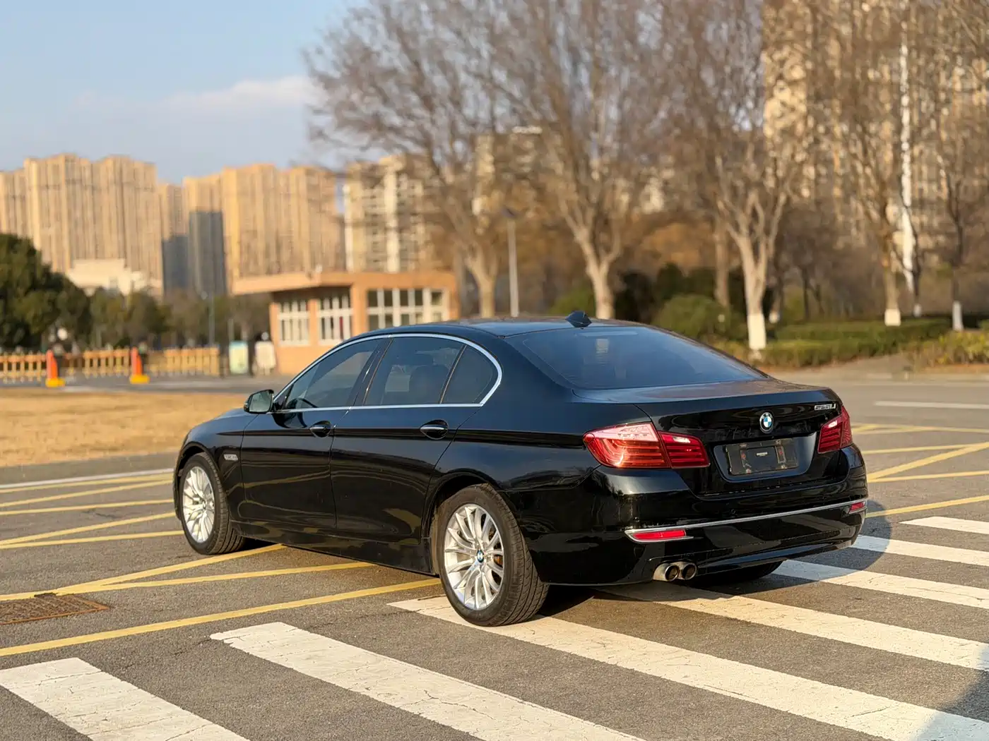BMW 5 Series 2014 525Li Luxury Design Package фото 5