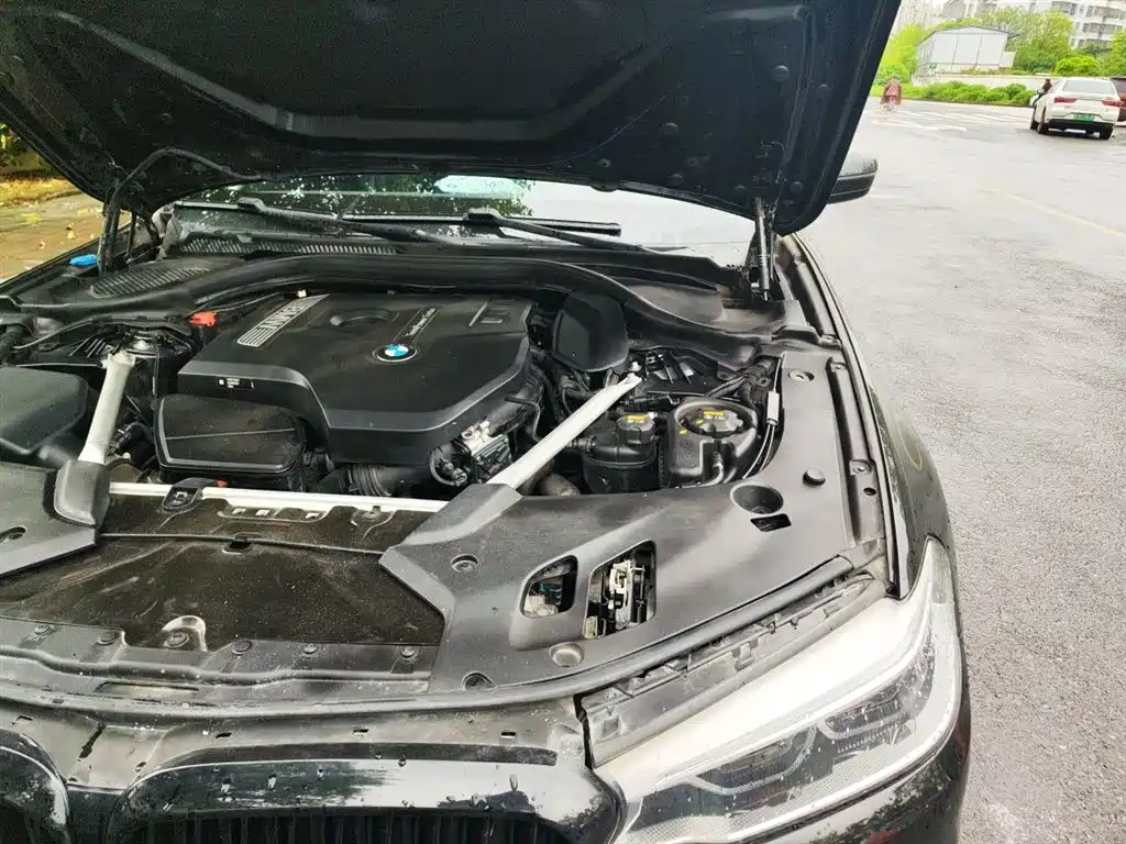 BMW 5 Series 2020 530Li Leading Luxury Package фото 22