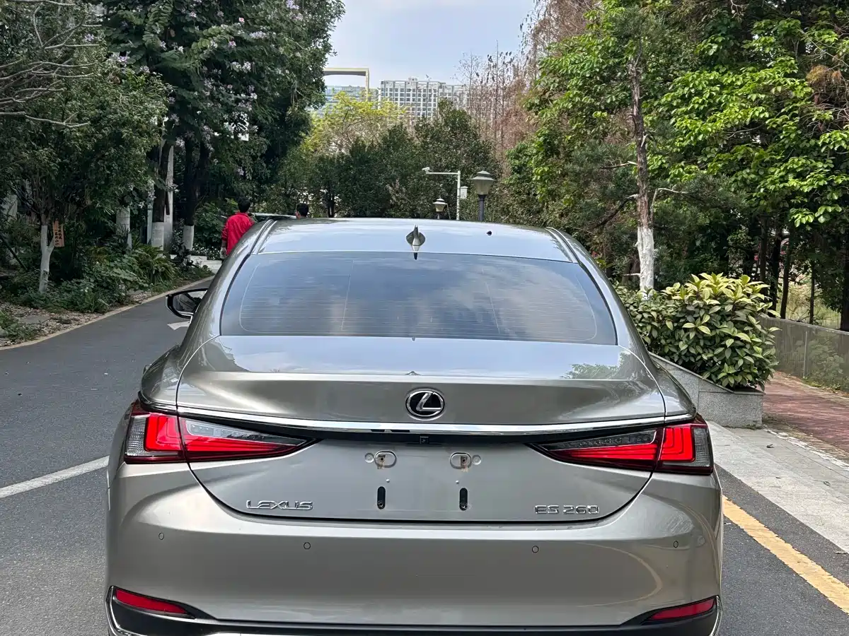 Lexus ES 2020 Model 260 Excellence Edition фото 6