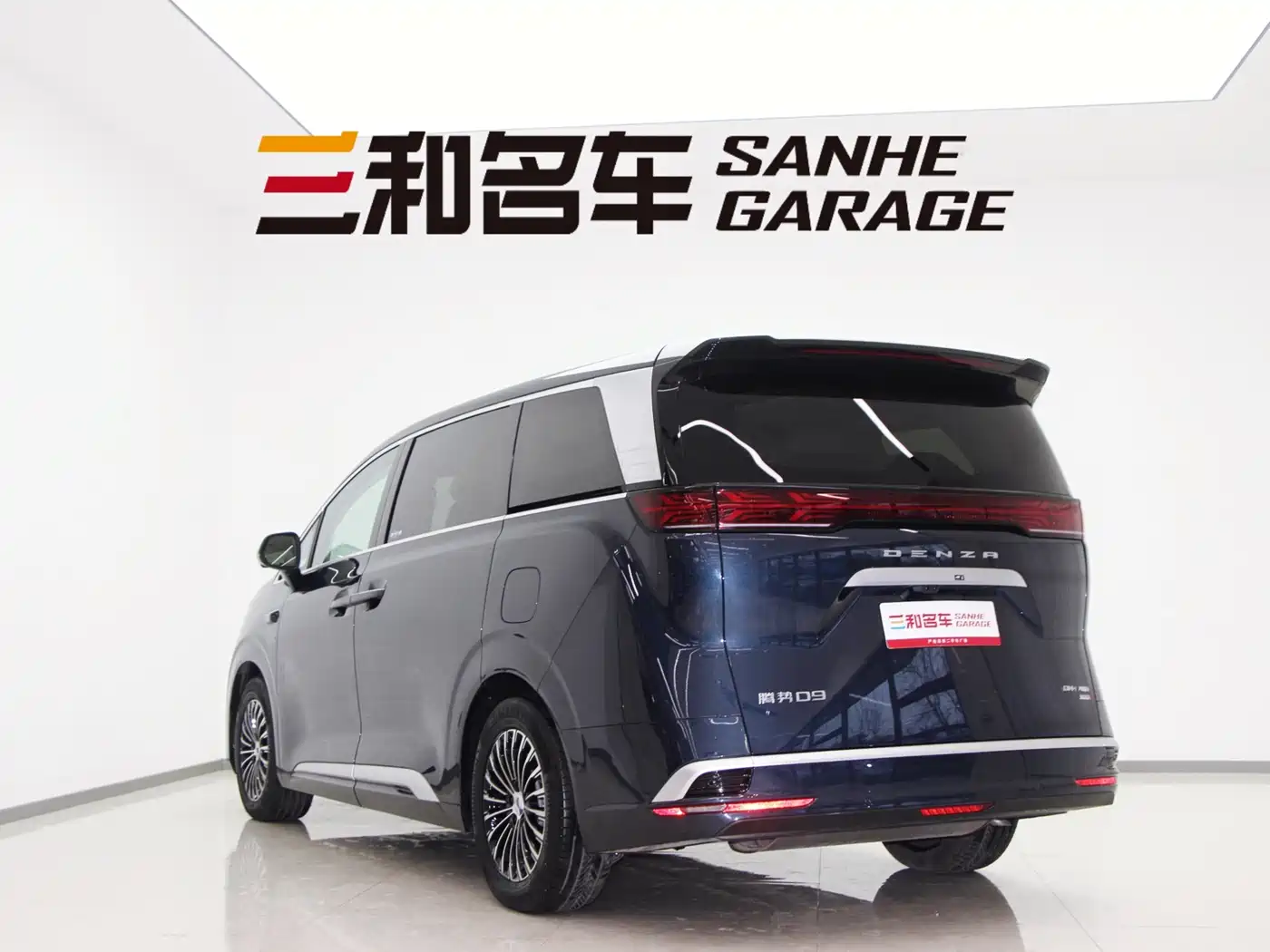 DENZA D9