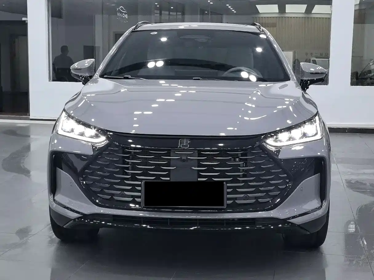 BYD Tang New Energy 2025 Smart Driving Edition DM-i 115KM Flagship фото 2