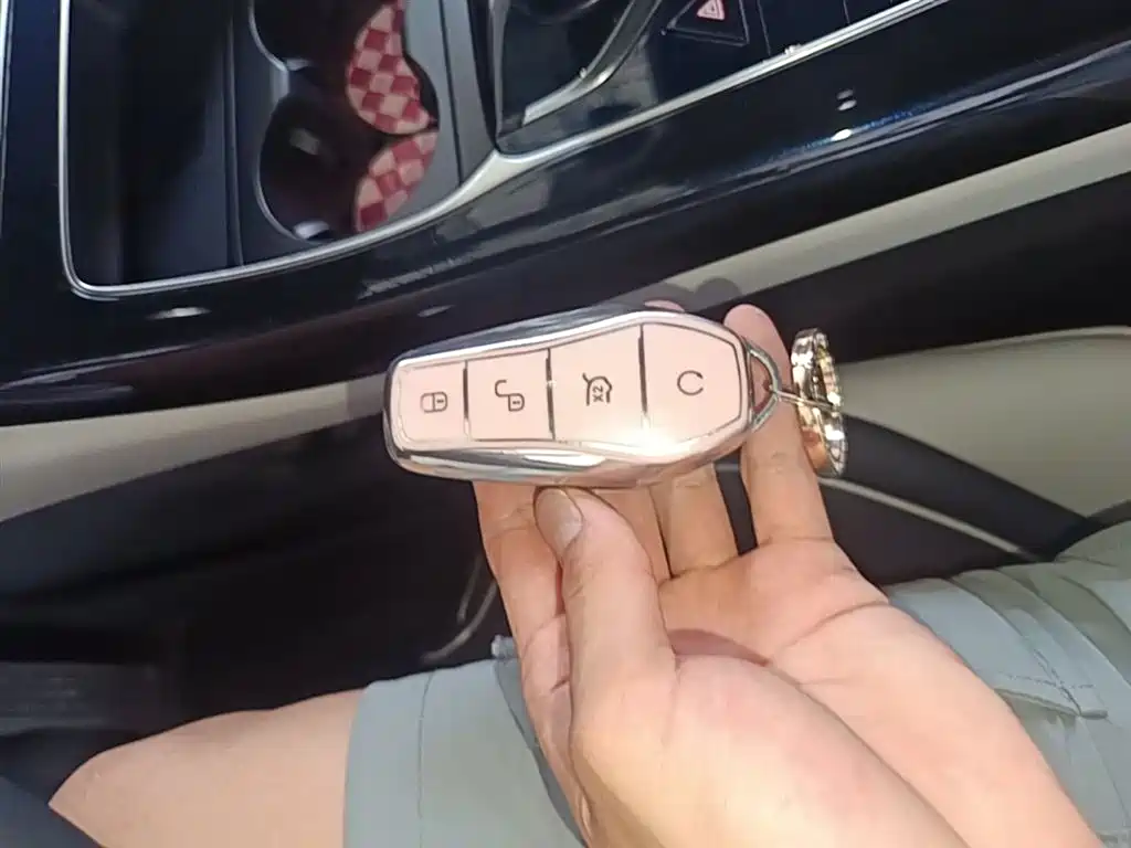 BYD Qin PLUS 2021 DM-i 55KM Premium фото 9