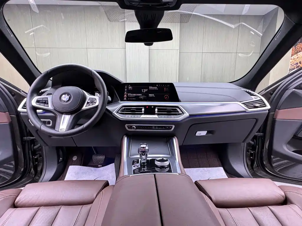 Photo 10 - BMW X6
