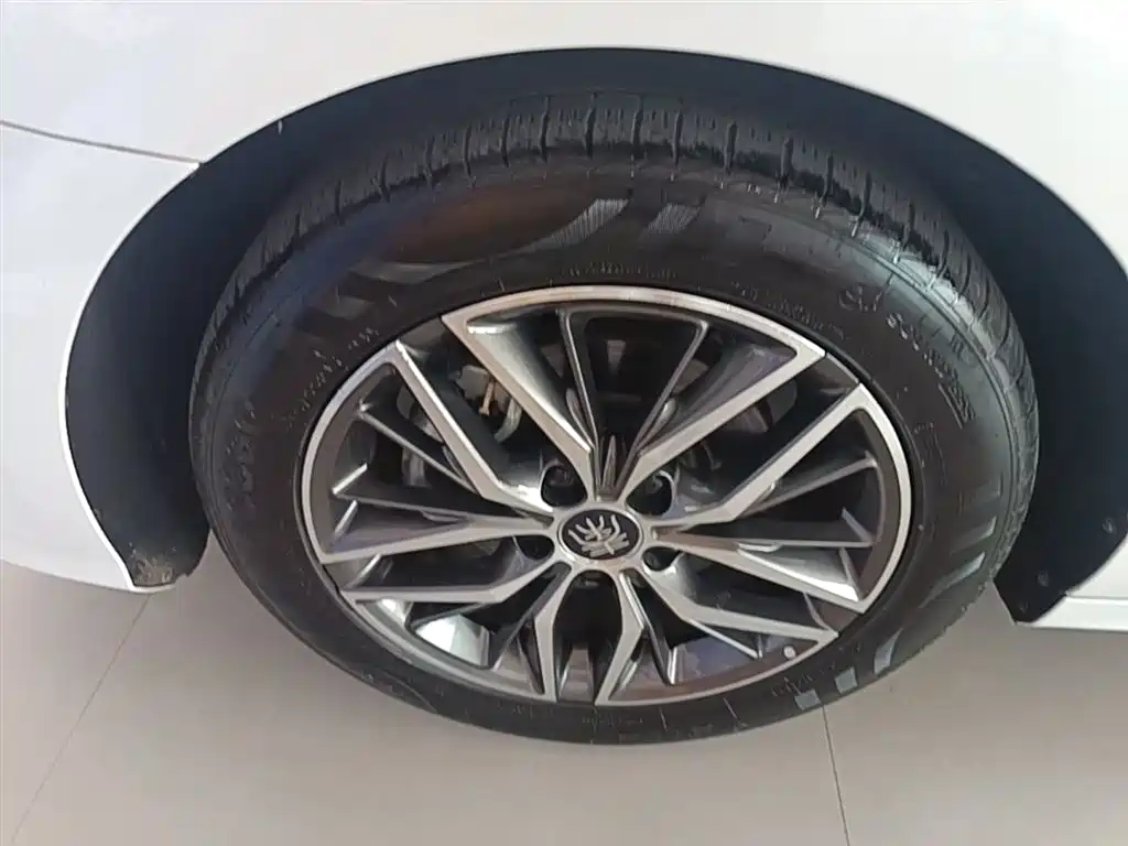 BYD Qin PLUS 2021 DM-i 55KM Premium фото 23