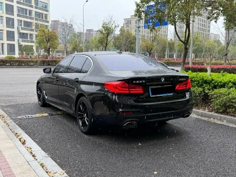 BMW 5 Series 2020 525Li M Sport Package фото 8