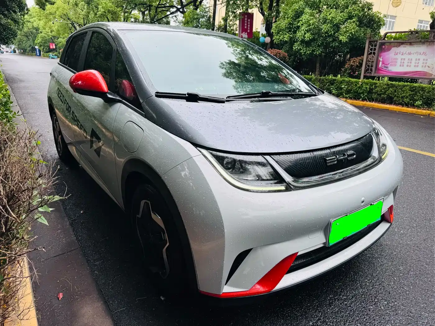 BYD Dolphin 2023 420km Freedom Edition фото 3